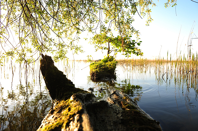 Romantik pur der Mecklenburger Seenplatte