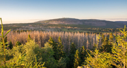 Nationalpark Harz, Wanderregionen in Deutschland