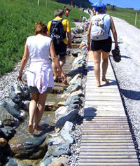 Wellnesstrend Bewegung